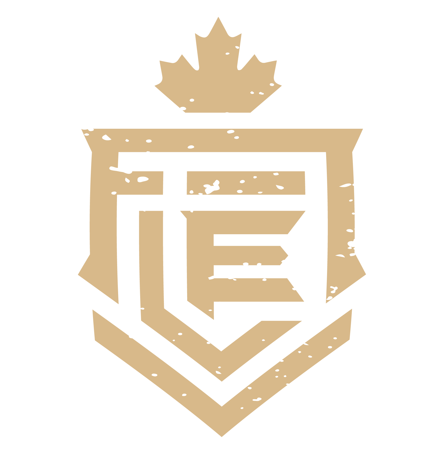 Forest City Eavestrough
